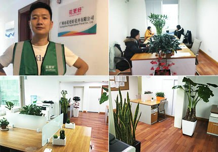 花更好公司简介
