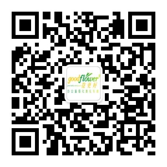 广州微信