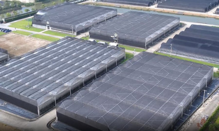 花更好拥有自己的苗圃基地